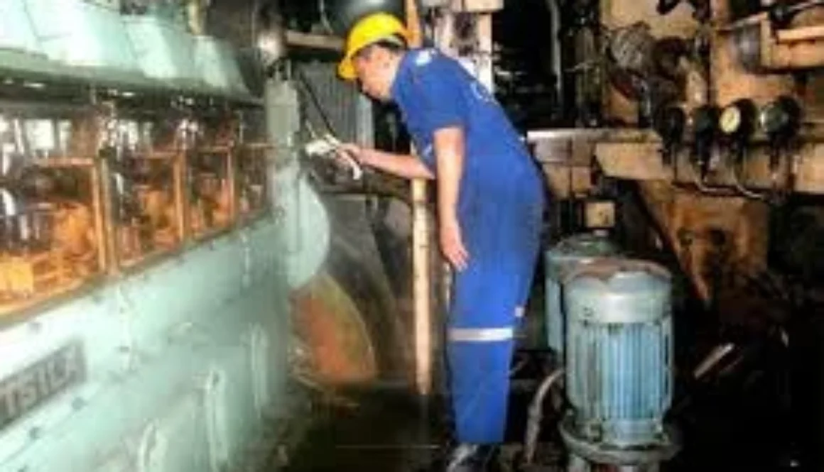 MER-SLM