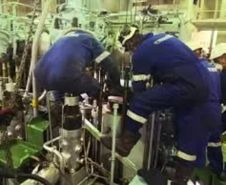 Shafting Removal & Seal Replacement